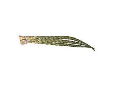 Sweetgrass Braid 24 inches long